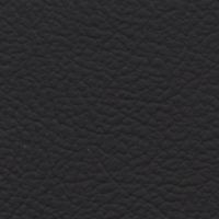 Leather Look Black exterior