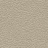Leather Look Camel Ivory exterior
