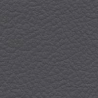 Leather Look Grey exterior
