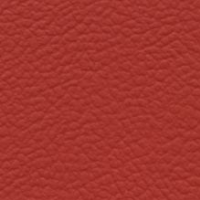 Leather Look Red exterior
