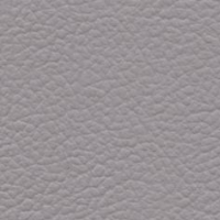 Leather Look Sterling exterior