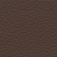 Leather Look Dark Brown exterior