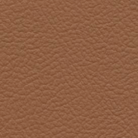 Leather Look Light Brown exterior