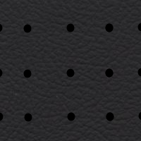 Interior Leather Look Perfo Black