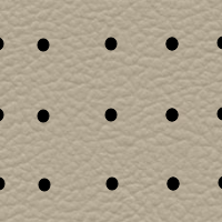 Interior Leather Look Perfo Camel Ivory