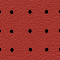 Interior Leather Look Perfo Red