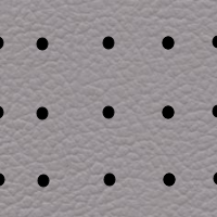 Interior Leather Look Perfo Sterling