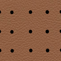 Interior Leather Look Perfo Light Brown